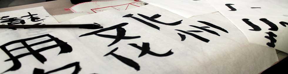 Study China Programme