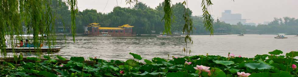 Study China Programme