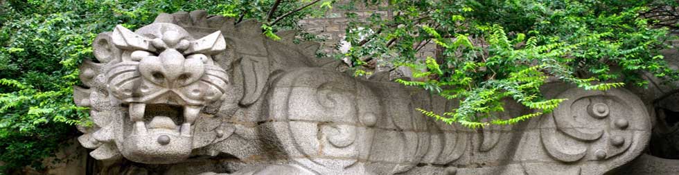 Study China Programme